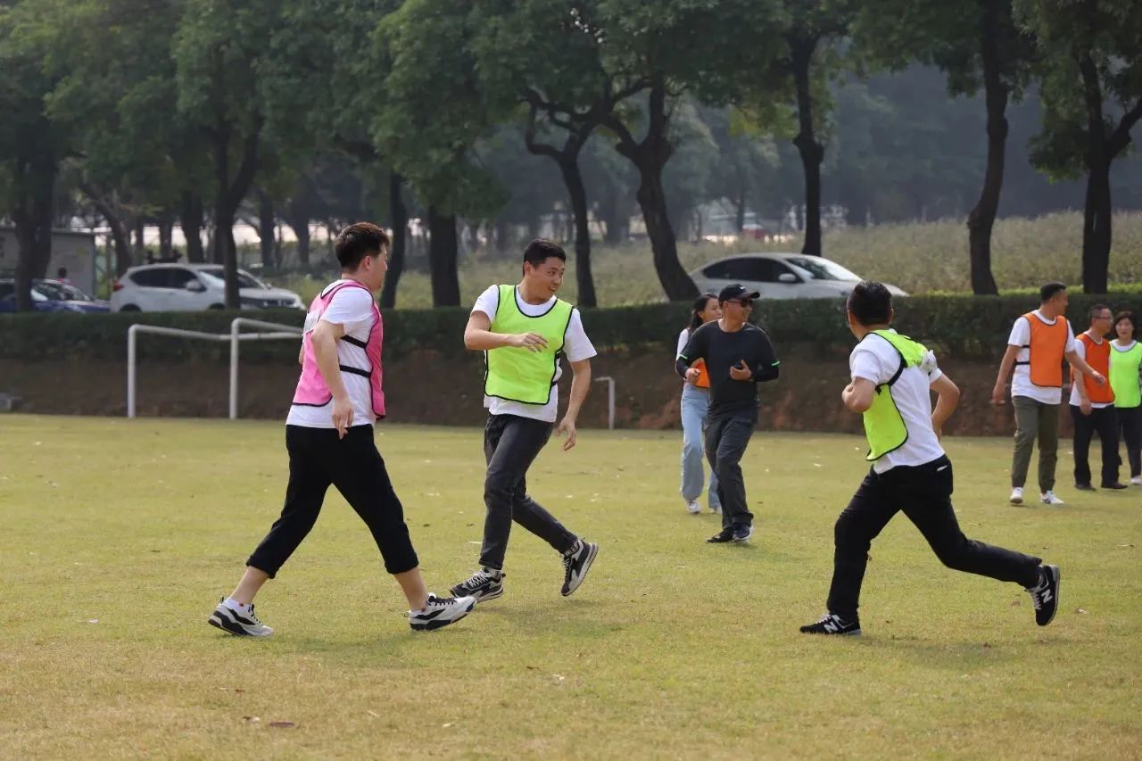 c7d3fc97cb 图片